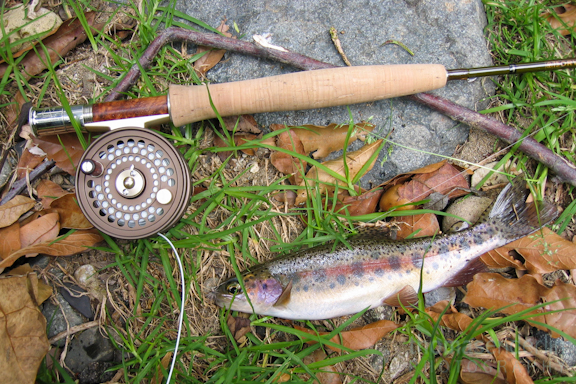 TEPhoto-Landings-Cloudforest Trout-1