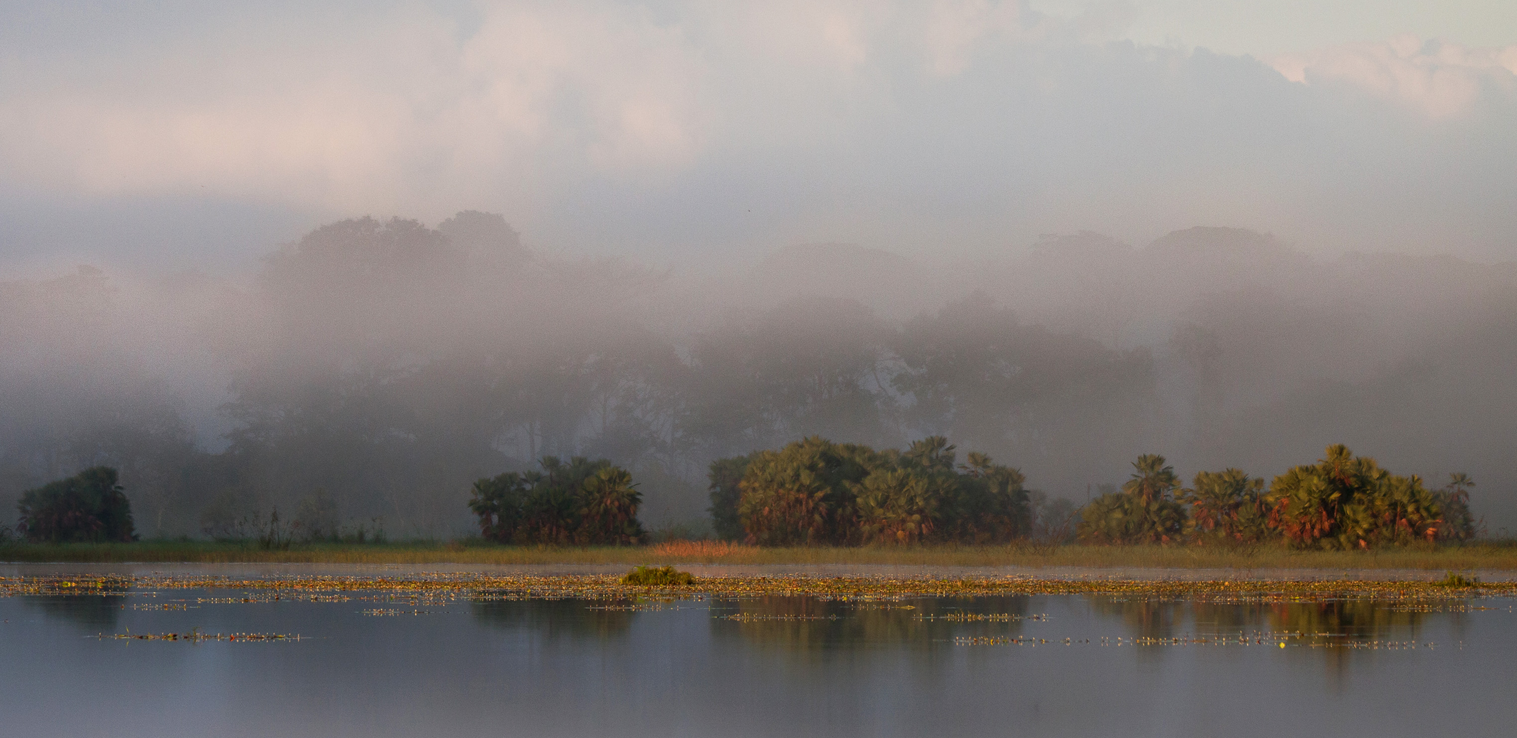 Thomas Enderlin Photography