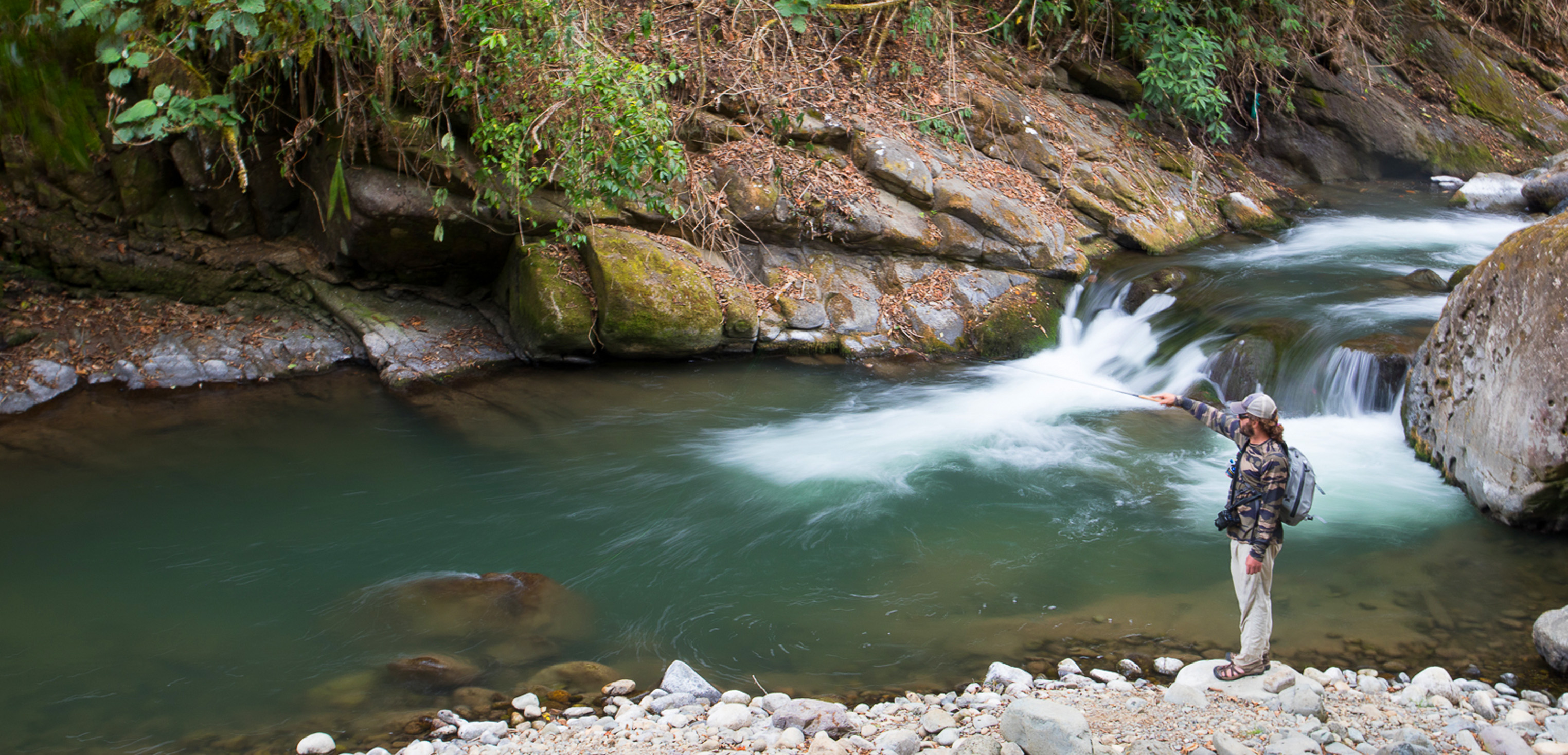 Cloud Forest Trout