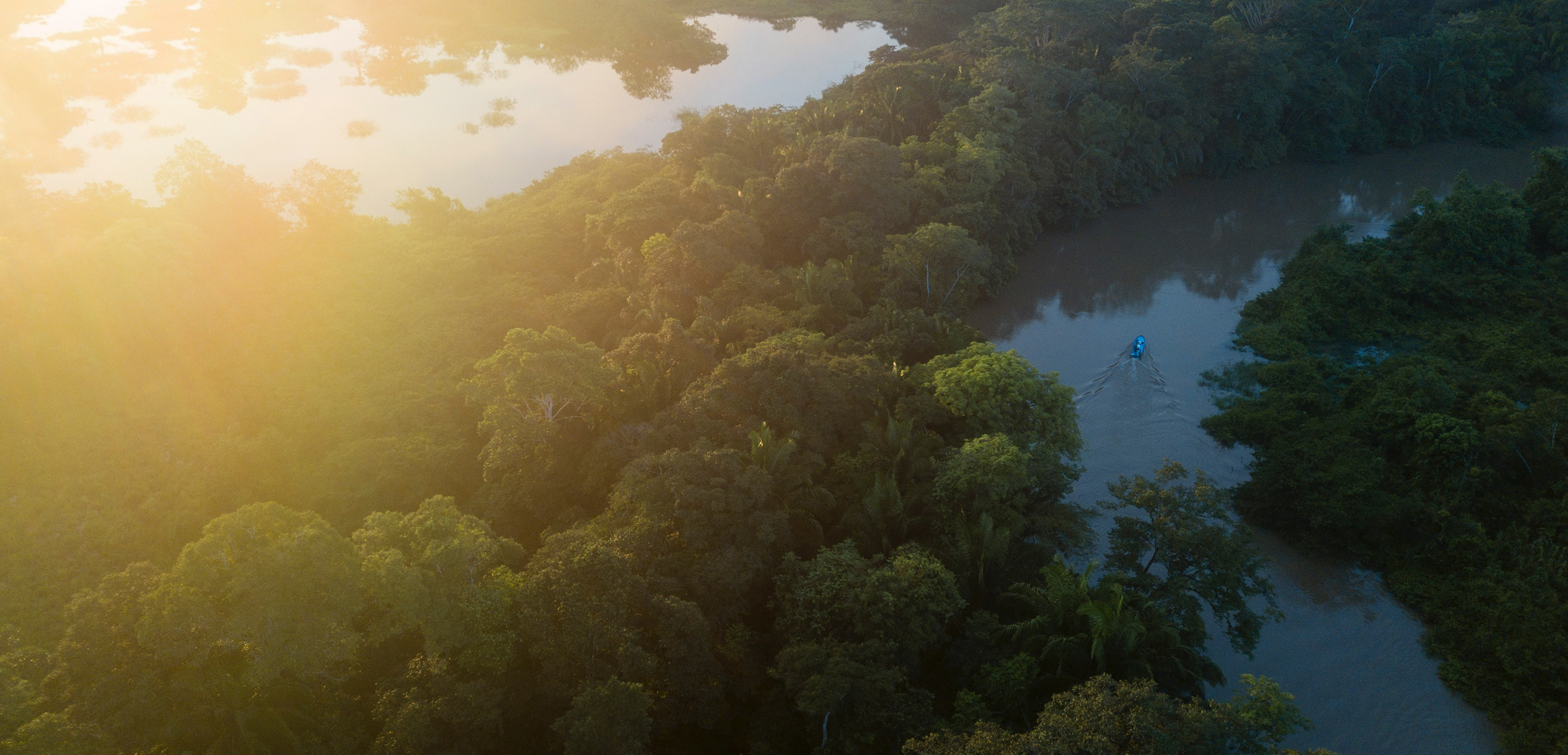 Jungle Tarpon Reserve